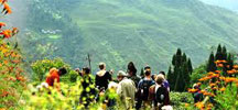 Tourism