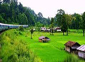 Tourism