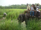 Tourism